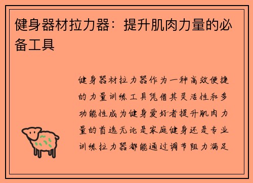 健身器材拉力器：提升肌肉力量的必备工具