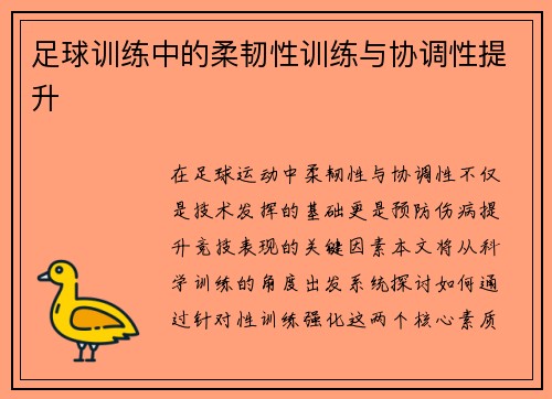 足球训练中的柔韧性训练与协调性提升